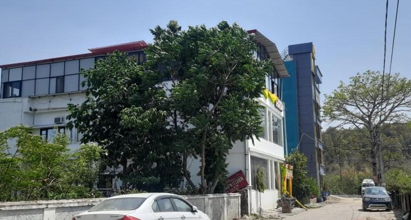 Hotel The Bird เดห์ราดุน ภายนอก รูปภาพ